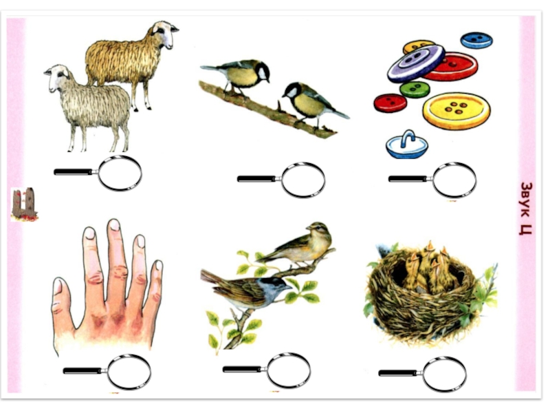 Звук ц. Автоматизация звука ц. Карточки со звуком ц. Автоматизация звука ц в картинках.