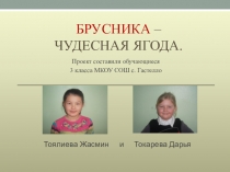 Презентация по окружающему миру на тему Брусника - чудесная ягода