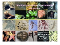 Презентация по теме Формы макроэволюции