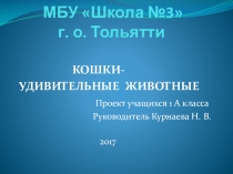 Презентация проекта Кошки - удивительные животные