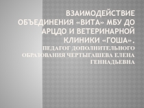 ВЗАИМОДЕЙСТВИЕ ОБЪЕДИНЕНИЯ ВИТА МБУ ДО АРЦДО И ВЕТЕРИНАРНОЙ КЛИНИКИ ГОША.