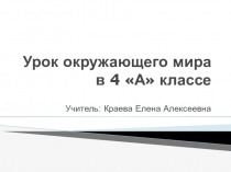 Презентация к уроку на тему: Петр I: царь и человек