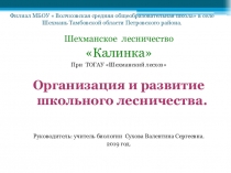 Организация школьного лесничества Калинка