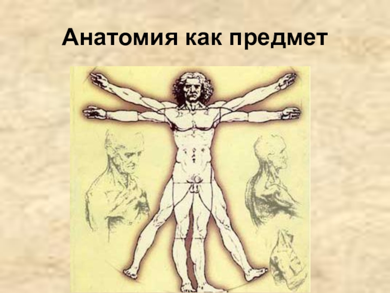 Объект анатомии. Презентация на тему анатомия. Анатомия как предмет. Анатомия от греческого. Радиально это как анатомия.