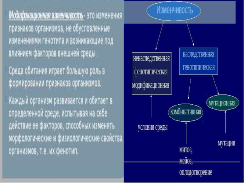 Основные закономерности наследования признаков у организмов 9 класс презентация пономарева