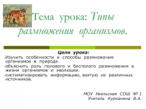 Презентация по биологии на тему Типы размножения, 9 класс