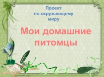 Про кошек и собак