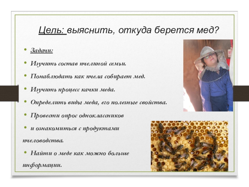 Цель: выяснить, откуда берется мед?Задачи: Изучить состав пчелиной семьи.Понаблюдать как пчела собирает мед.Изучить процесс качки меда.Определить виды