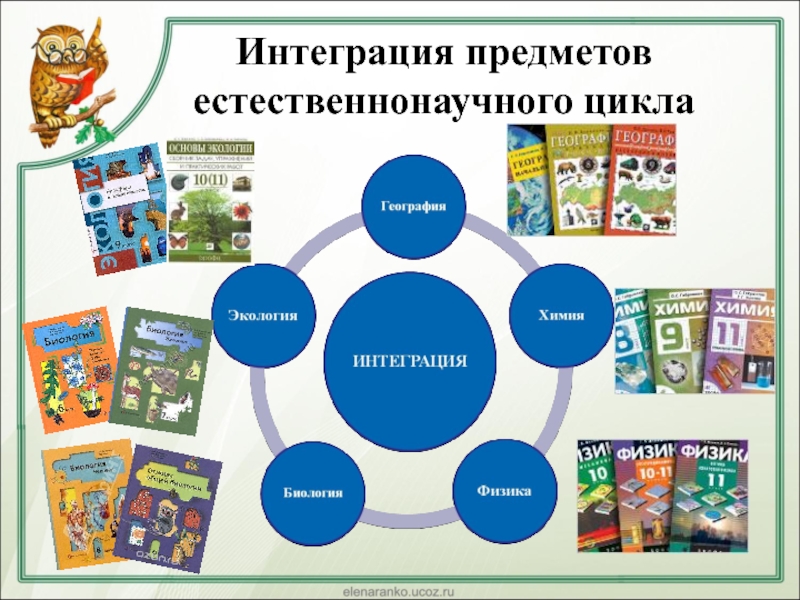 Какими учеными была разработана схема анализа умк для начальной школы