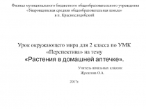 Презентация к уроку окружающего мира на темуРастения в домашней аптечке(2 класс)