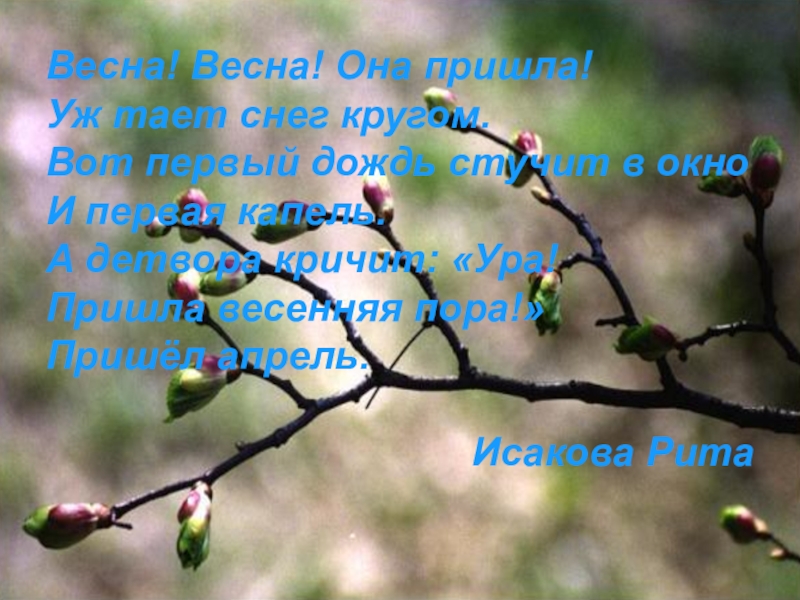 Весна! Весна! Она пришла!Уж тает снег кругом.Вот первый дождь стучит в окноИ первая капель.А детвора кричит: «Ура!Пришла