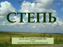 Презентация по курсу окружающего мира 4 класс тема: Зона степей