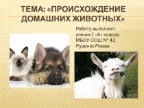 Презентация Происхождение домашних животных. Работу выполнил Руденко Роман, ученик 4 А класса МБОУ Школа №42 г.о. Самара. Учитель Панькина О.Ф.