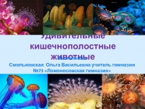 Презентация по биологии на тему Самые удивительные кишечнополостные животные(7 класс)