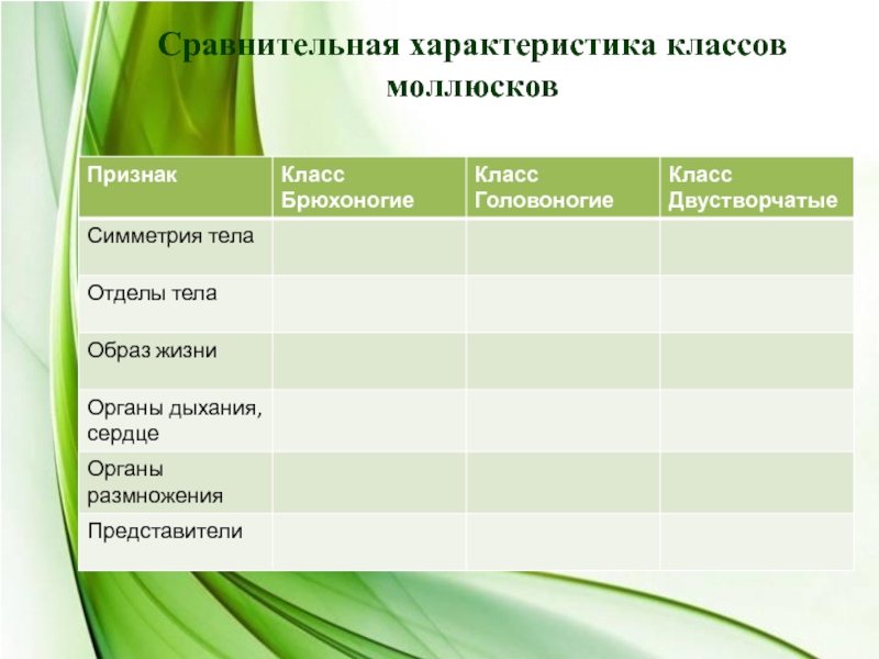 Характеристика классов моллюсков таблица 7 класс. Таблица классы моллюсков 7 класс биология. Сравнительная характеристика классов моллюсков. Сравнительная характеристика классов моллюсков таблица. Сравнительная характеристика класса моллюсков.