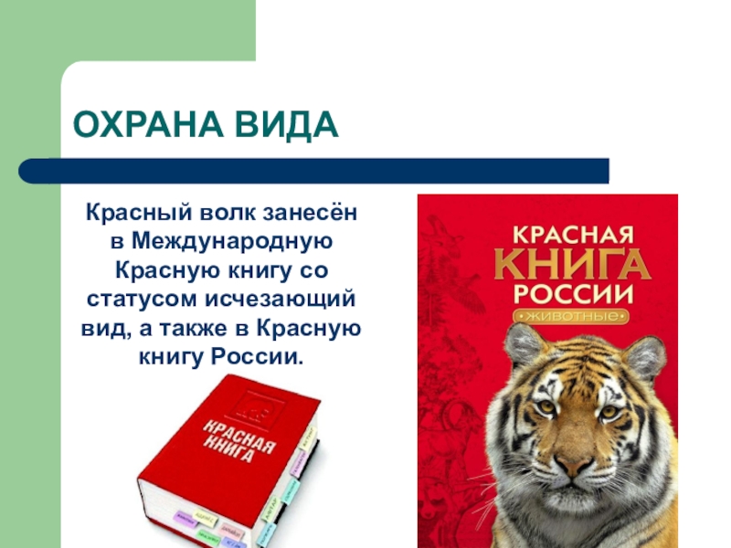 Волк занесен в красную книгу