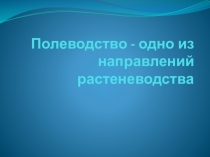Полеводство - одно из направлений растеневодства