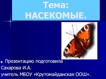 Презентация по биологии по теме Насекомые