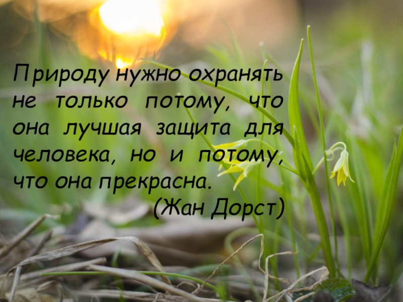 Природу надо беречь. Природу нужно беречь потому что. Нужно охранять природу. Берегите природу потому что.