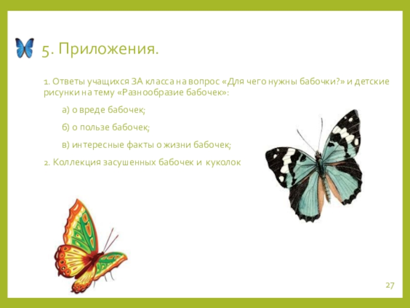 роль бабочек в природе для детей. для чего нужны бабочки. что символизирует бабочка. роль бабочек в природе. для чего нужны бабочки.