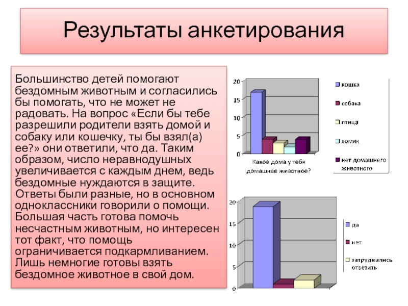 Анкетирование по проекту бездомные животные