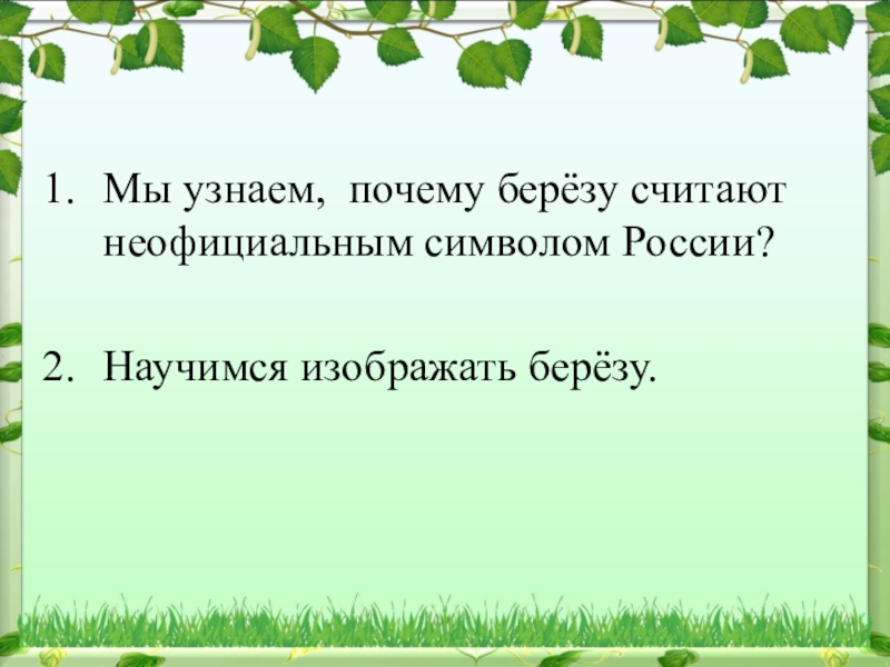 Почему березы русские. Русская береза символ России. Неофициальные символы России береза. Почему березу считают символом России. Почему береза неофициальный символ России.