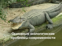 Презентация по экологии на тему Экологические проблемы