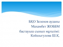 Әдебиеттік оқу 3 сынып