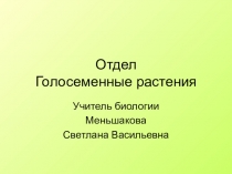 Презентация к уроку биологии Отдел Голосеменные растения (6 класс)