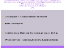 Презентация по окружающему миру Бактерии