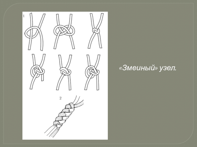 Темляк схема плетения. Узел змейка на темляк. Плетение темляка змеиный узел. Темляк из паракорда схемы.