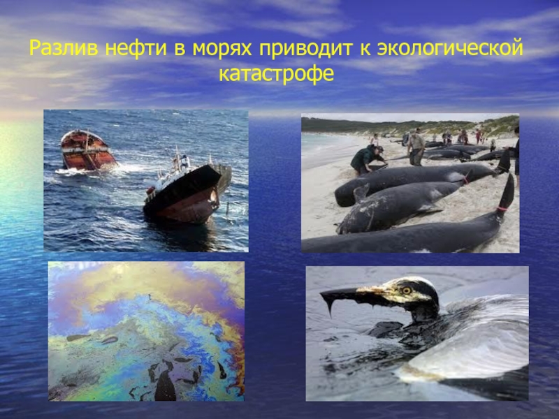 Разлив нефти в морях приводит к экологической катастрофе