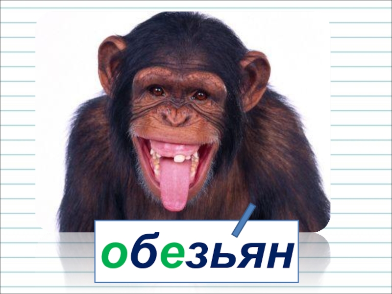 Monkey word. Презентация на тему обезьяны без текста. Схема слова обезьяна. Как пишется слово шимпанзе. Как пишется слово обезьянка.