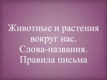 Животные и растения вокруг нас