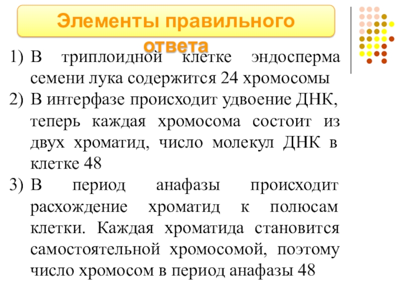 Деление триплоидной клетки. Триплоидной клетки. Триплоидный эндосперм в семени. Центральная клетка триплоидная?. Триплоидный набор хромосом эндосперма.