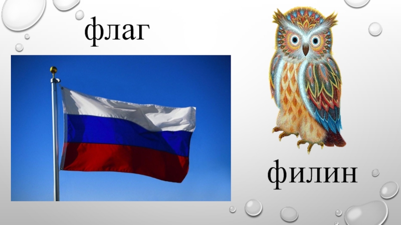 Слово флаг. Филин на флаге. Флаг с совой. Изображение Совы на флаг. Буква ф флаг.