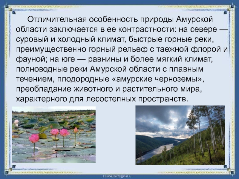 Особенности природы особенности деятельности человека. Особенности нашей природы. Особенности нашего края. Особенности природы Амурской области. Особенности природы нашего края.