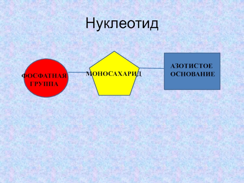 В состав нуклеотида входит азотистое основание. Нуклеотиды азотистые основания фосфатная группа и. Азотистые основания нуклеотидов. Строение нуклеотида азотистое основание. ДНК нуклеотиды азотистое основание фосфатная группа.