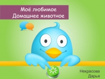 Проект мой ученицы Домашнее животное