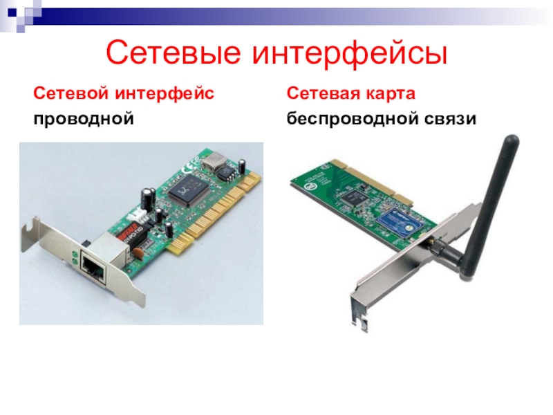 Как выглядит сетевая карта