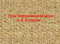 Презентация по Окружающему миру на тему Пётр Великий (4 класс)