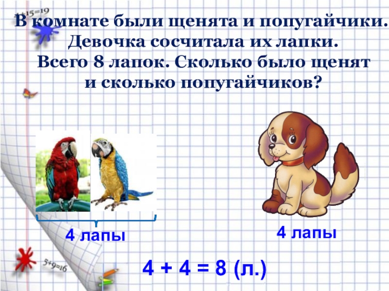 Задача про лапы. Решение задачи про котят и канарейки. Задачка сосчитать лапки. Задачи про лапы и головы с решением. Сколько лапок у канарейки.