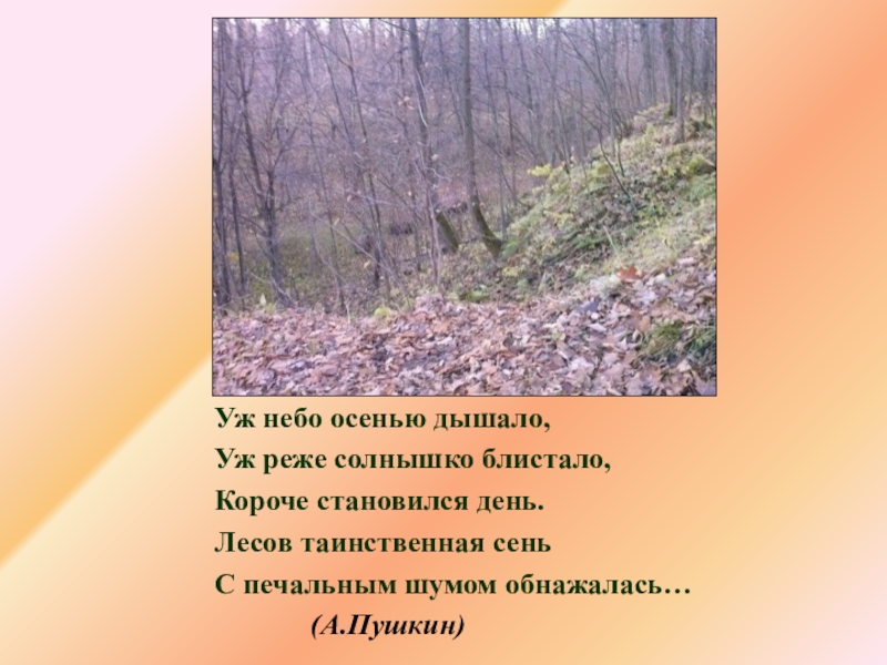 С печальным шумом обнажалась. Уж реже солнышко блистало. Уж реже солнышко блистало короче становился день лесов Таинственная. Уж небо осенью уж реже солнышко блистало короче. Пушкин лесов Таинственная сень что это.