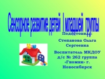 Сенсорное развитие детей I младшей группы