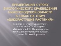 Презентация по биологическому краеведению Нижегородской области на тему Дикорастущие растения (6 класс)