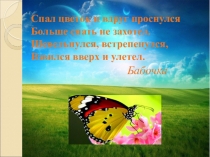 Презентация к п-ориентированному уроку по литературному чтению на тему: В.А.Бахревский “Бабочка” 4класс