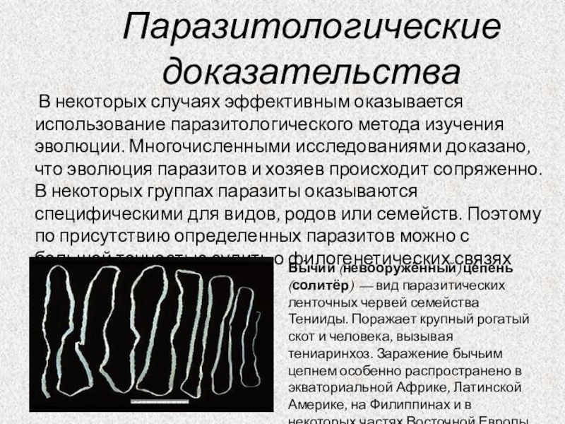 Проверочная работа доказательств эволюции органического мира. Тесты по биологии на тему доказательства эволюции. Доказательства эволюции тест 1. Доказательство эволюции биология кратко. Зачет по теме доказательства эволюции.