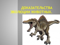 Презентация по биологии Доказательства эволюции животных