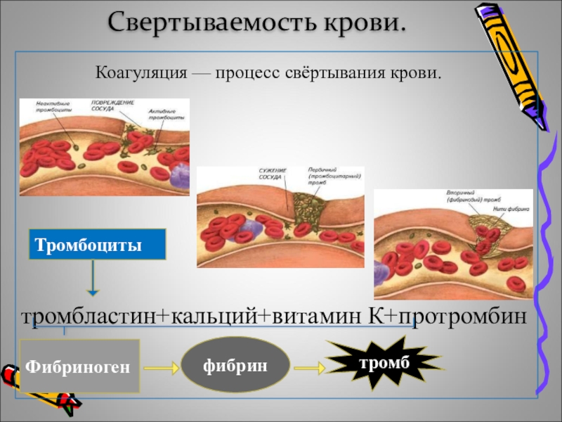 Свертывание крови картинка