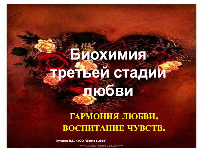 стадии влюбленности. этапы стадии любви. 3 этапа любви. стадии влюбленности. несколько стадий любви.
